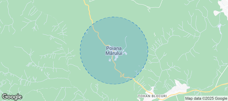 Discover Poiana Mărului Airbnb Analytics